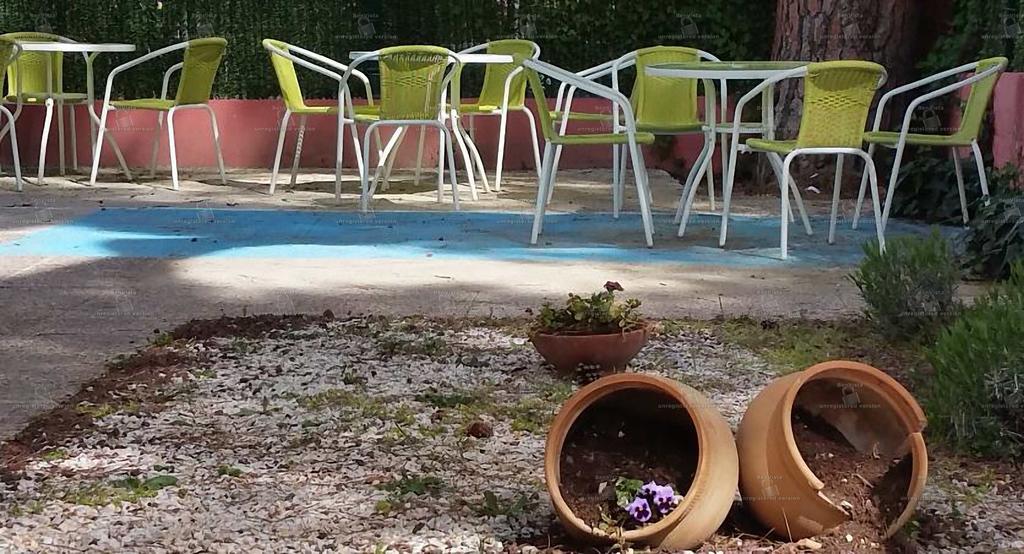 Hostal Aravaca Garden Madrid Ngoại thất bức ảnh